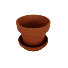 Terracotta Clay Pots 6cm / Clay Saucer 5cm